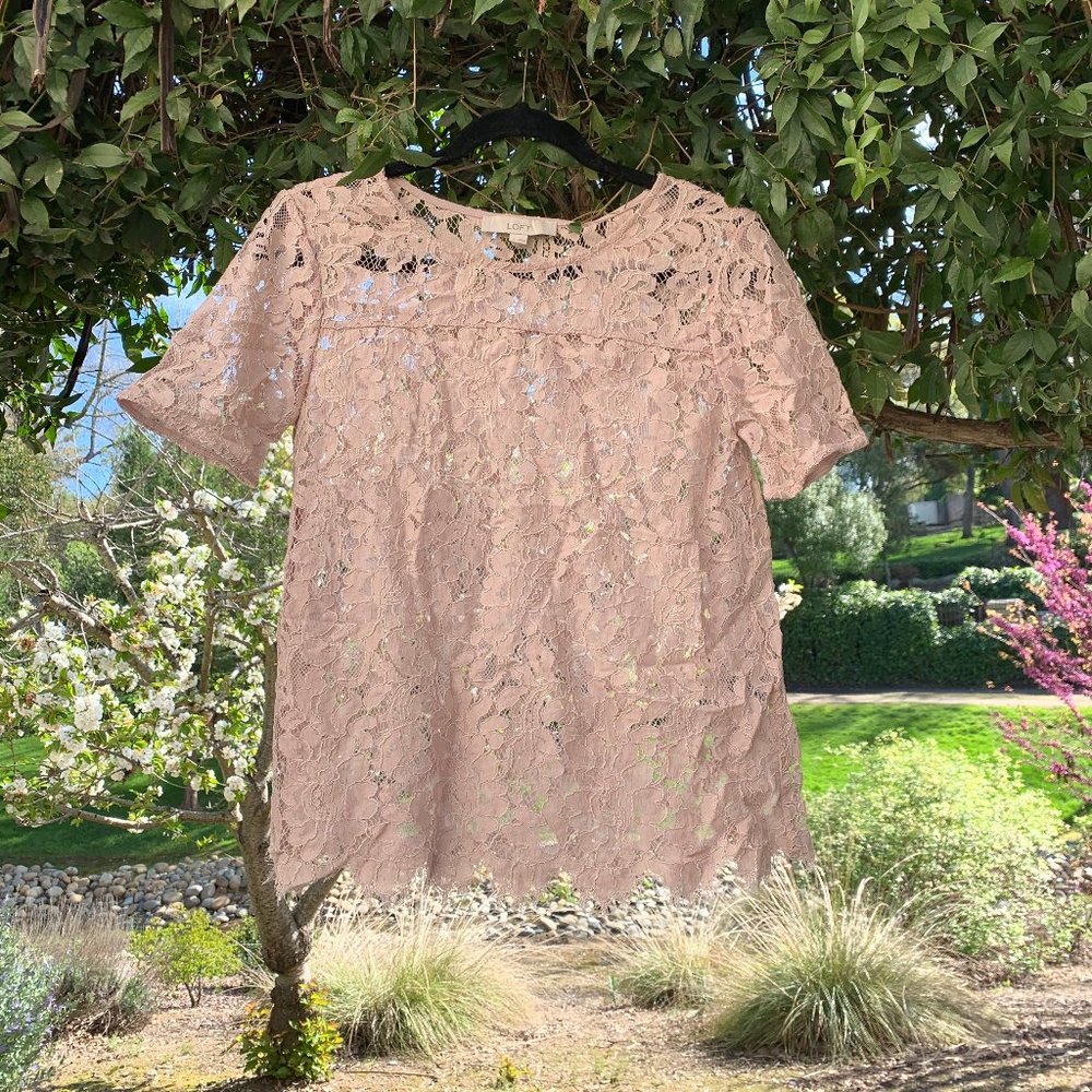 Loft Lace Blouse